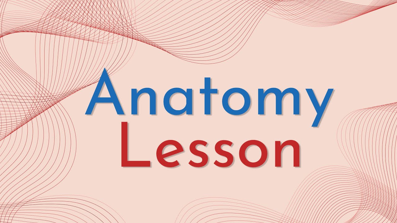 Interactive anatomy lesson with Jalinga Studio