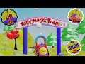 Tally Marks and Counting Quiz