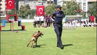 JAKEM'in eğitimli köpeği 'Nefes'in gösterisi ilgiyle izlendi