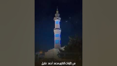 من تلاوات القارئ : محمد أحمد عقيل اليمني..