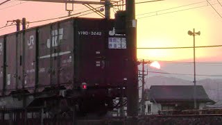日の出とともにEF510-515牽引高速貨物4059ﾚ大阪タ→新潟タ【4K】