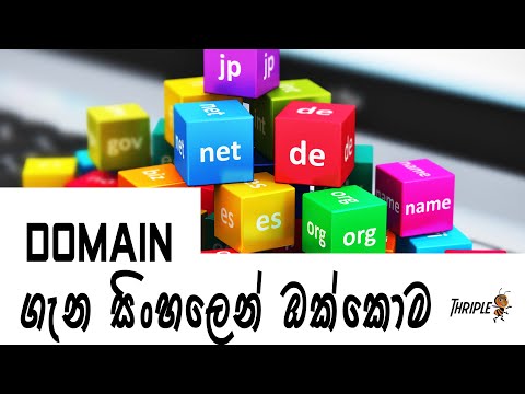 Domain & Web Hosting - What is a Domain - Sinhala
