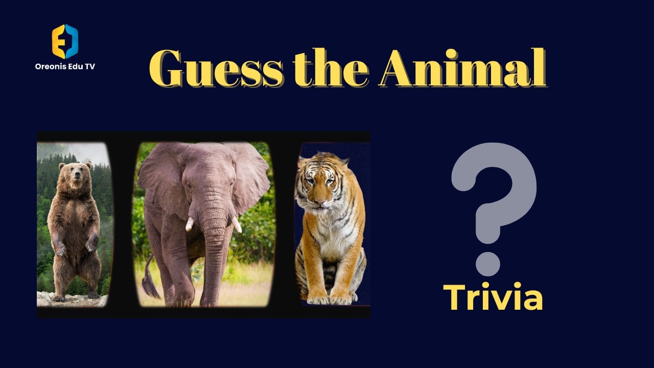 "Guess the Animal Trivia How Well Do You Know the Animal Kingdom
