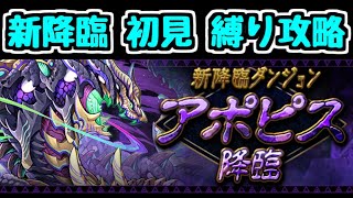 【新ダンジョン】アポピス降臨初見チャレンジ！！【パズドラ】