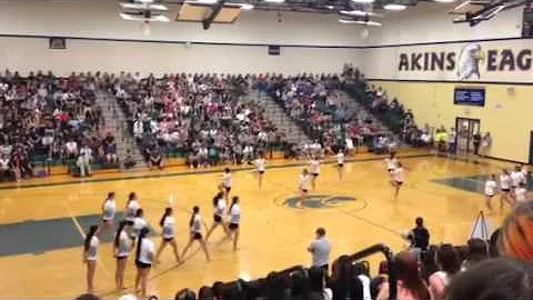 Akins High school diamond dazzlers 2014