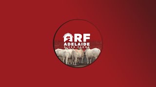 APPLICATION OF REPRODUCTIVE BIOTECHNOLOGIES IN THE PHIL CATTLE INDUSTRY