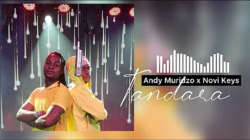 Andy Muridzo & Novi Keys - Tandara (Official Audio)