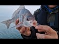 Bream fishing on the famous kingsmere rocks on the south coast of england boat fishing uk