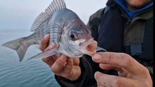 Bream fishing on the famous kingsmere rocks on the south coast of England boat fishing UK
