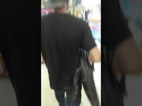 Florida man chases store shoppers with an alligator