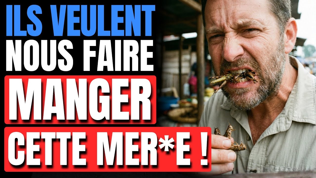Ynsect : 600 millions d’euros pour vous faire manger des insectes… et des rats en bonus ?