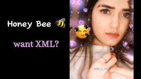 Honey Bee 🐝 NEW TREND XML FILE 💖✨ THE ALIGHT MOTION EDITZ    @editzz.59
