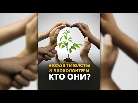 Экоактивисты и Эковолонтеры Кто они?