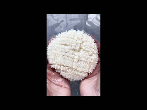 1000 Cut Tofu|