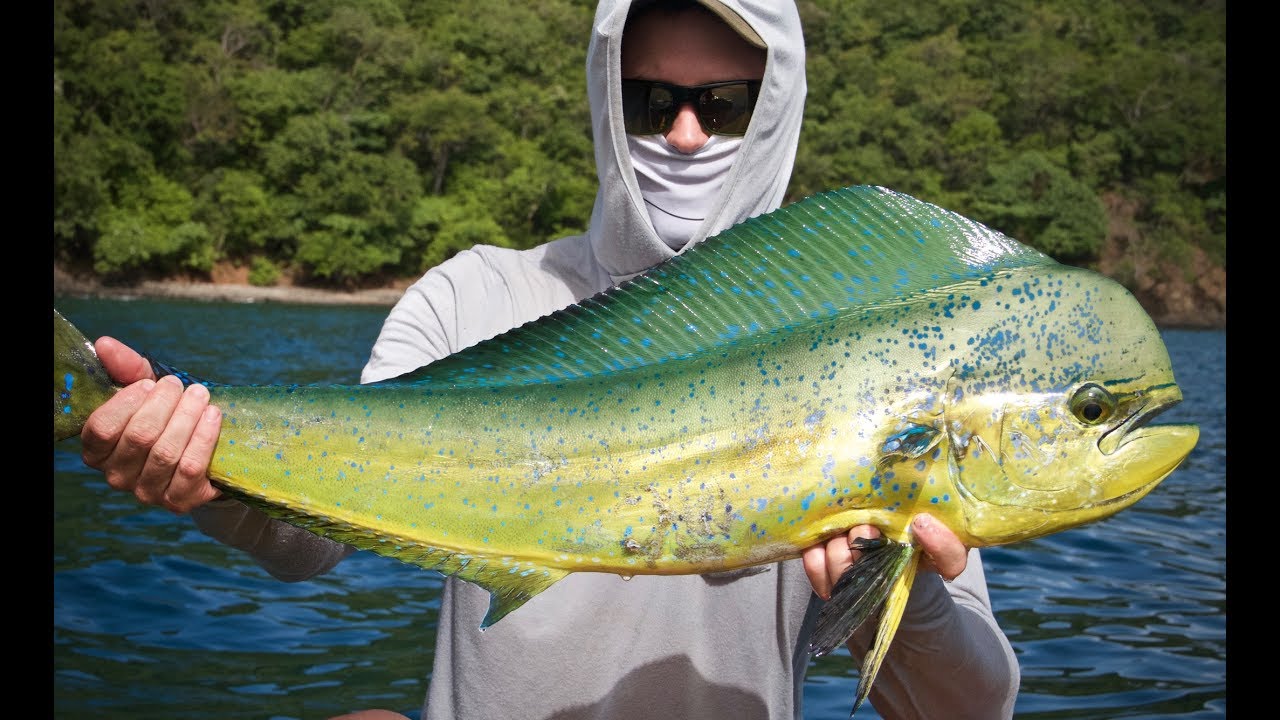 El Dorado Offshore Kayak Fishing Costa Rica YouTube