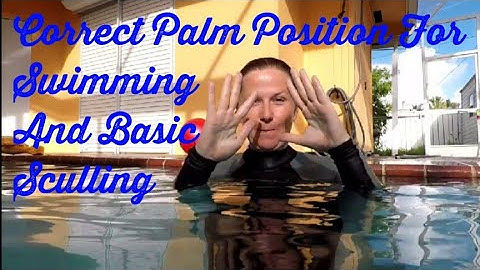 Correct Palm Position For Swimming And Basic Sculling [Swimming Lessons For Adults]