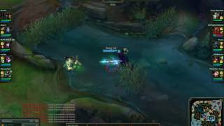 Small kindred bug.