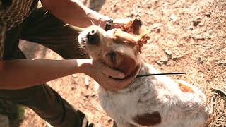 Dog Gps X20 Cz Dogtrace