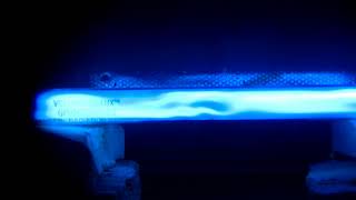 The Inside View - Microwaving a UV Fuorescent Tube @BillGilmour519