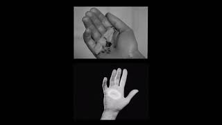 Un Chien Andalou - Le Sang Dun Poète