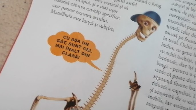 este corpul subțire în siguranță cum să pierdeți greutatea pentru forțele aeriene