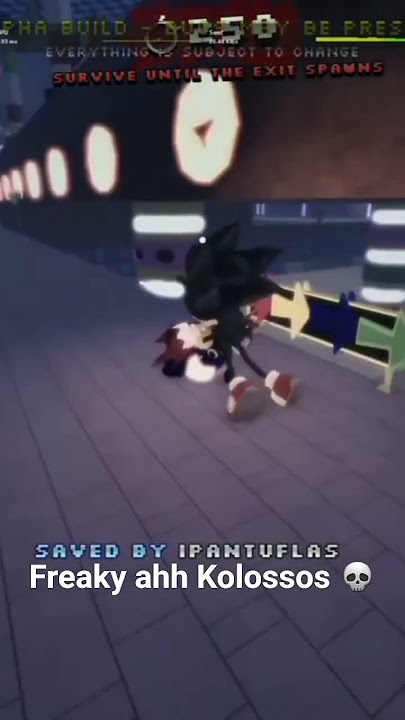 Why did bro KISS me 🥀🥀  [Sonic.Exe The Disaster Reborn] #roblox #sonicthehedgehog #sonicexetd #sonic