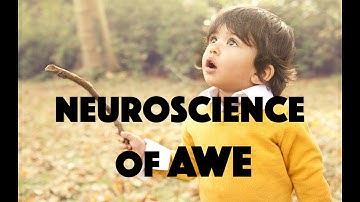 The Neuroscience of Awe / Review of Dr. Dacher Keltner