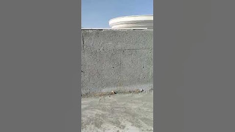 Rush coat for parapet walls