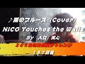 雨のブルース / NICO Touches the Walls(Cover) 【157日目】