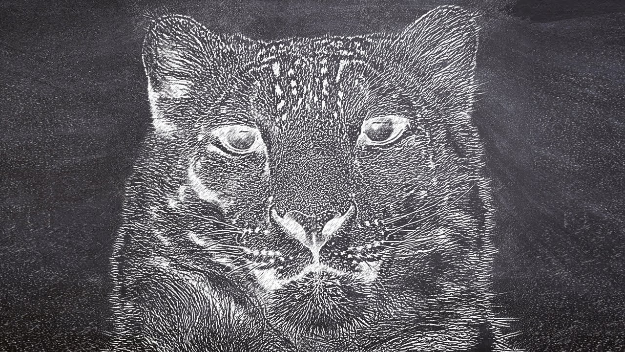 Кошка мелом рисунок