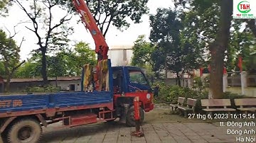 Dịch vụ cưa, cắt tỉa cành cây ở Thanh Xuân, Hà Nội - 096.217.8669