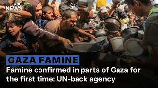 Famine confirmed in parts of Gaza for the first time: UN-back agency