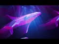 3 Stunden Walgesang mit Entspannungsmusik zum Einschlafen –  Walgeräusche unter Wasser für Schlaf Mp3 Song