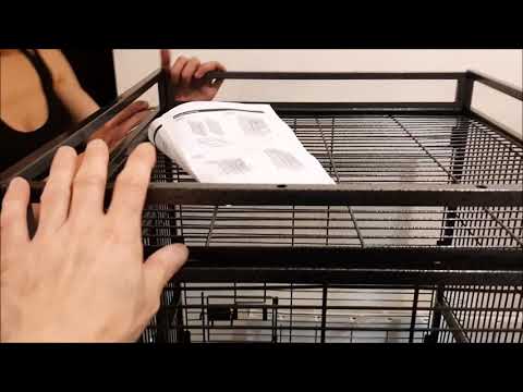 Vidéo: Comment Installer Une Cage à Perroquets