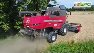 MASSEY FERGUSON 7360 Beta delivering at Agriservice Furlan | CORMA SRL | AGRIHARVEST