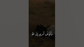 قران/سورة غافر اية 44-45/القارئ  سلمان العتيبي #shortvide #قران#explore #دويتو #صلو على النبي #qura#