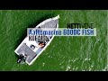 Koeajo: Aaltomarine 600DC FISH