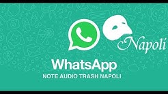 Whats App  Audio Trash Napoli