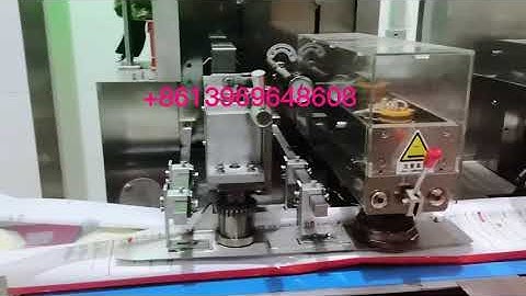 #interpack automatic flat bread roti flow packaging packing machine