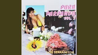 Me Están Enamorando - Los Serranitos