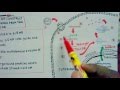 RNAi and Si RNA mediated knockdown