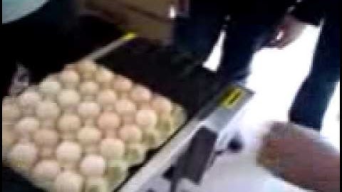 stamp eggs inkjet printer/ egg coding machine