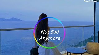 Sangat Santuy - Not Sad Anymore Slow Remix (Music Freex)