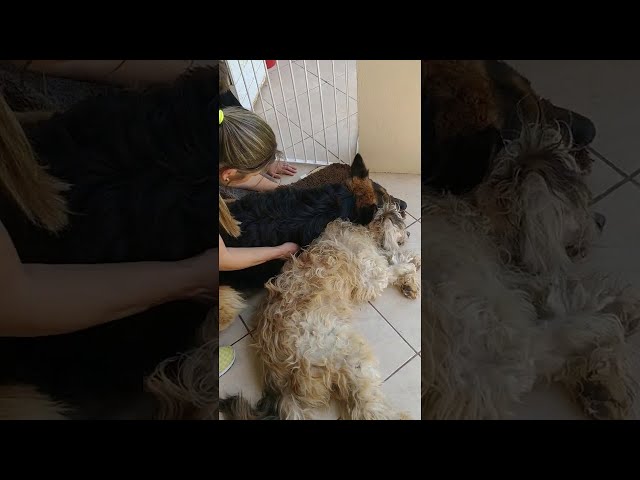 Loading video
