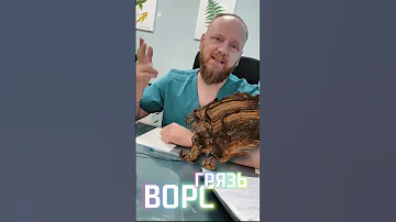 САМАЯ ГРЯЗНАЯ ЧАСТЬ ТЕЛА У ЧЕЛОВЕКА