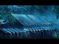 LIVE 24/7 🌧️ Heavy Rain & Thunder Sounds for Deep Sleep & Relaxation, Nature Sounds for Sleep