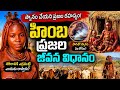 🛀🚫అసలు స్నానమే చేయకుండా అందం 🥰👌ఆరోగ్యం ఎలా 🤔 himba tribe#education#himba #smokebath#science#namibia