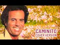 Caminito (Julio Iglesias) - Instrumental cover version