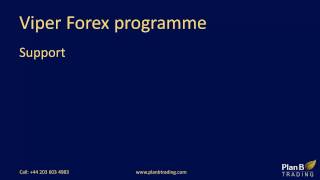 Preparing for the Viper Forex programme | Forex Training Courses | Plan B Trading