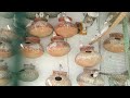 Injured Budgie Resource _ Gentle Care And Recovery Journey l Gray java l white Java I java Bird